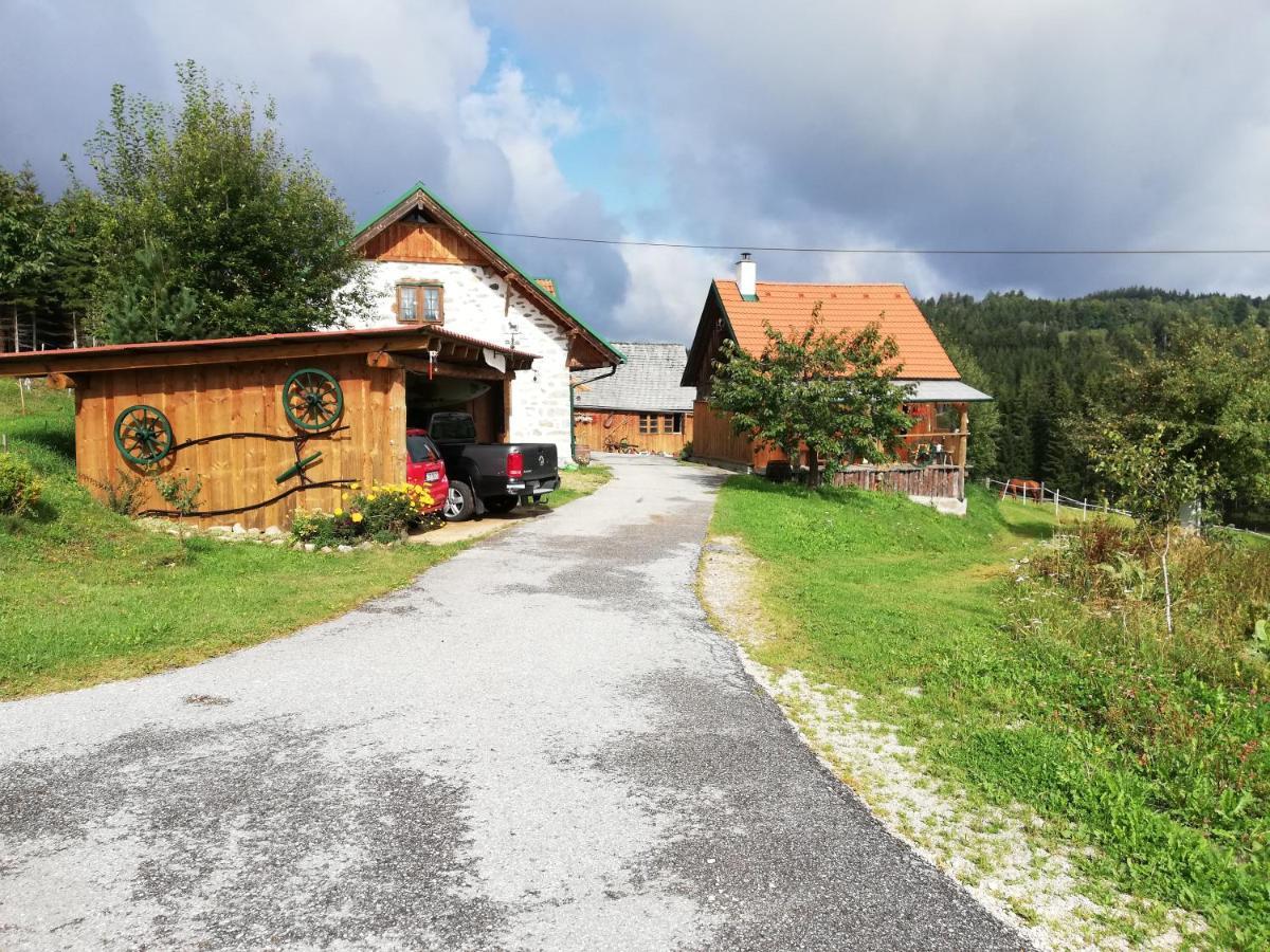 Ferienhaus Friedlhof Langschlag  Ngoại thất bức ảnh