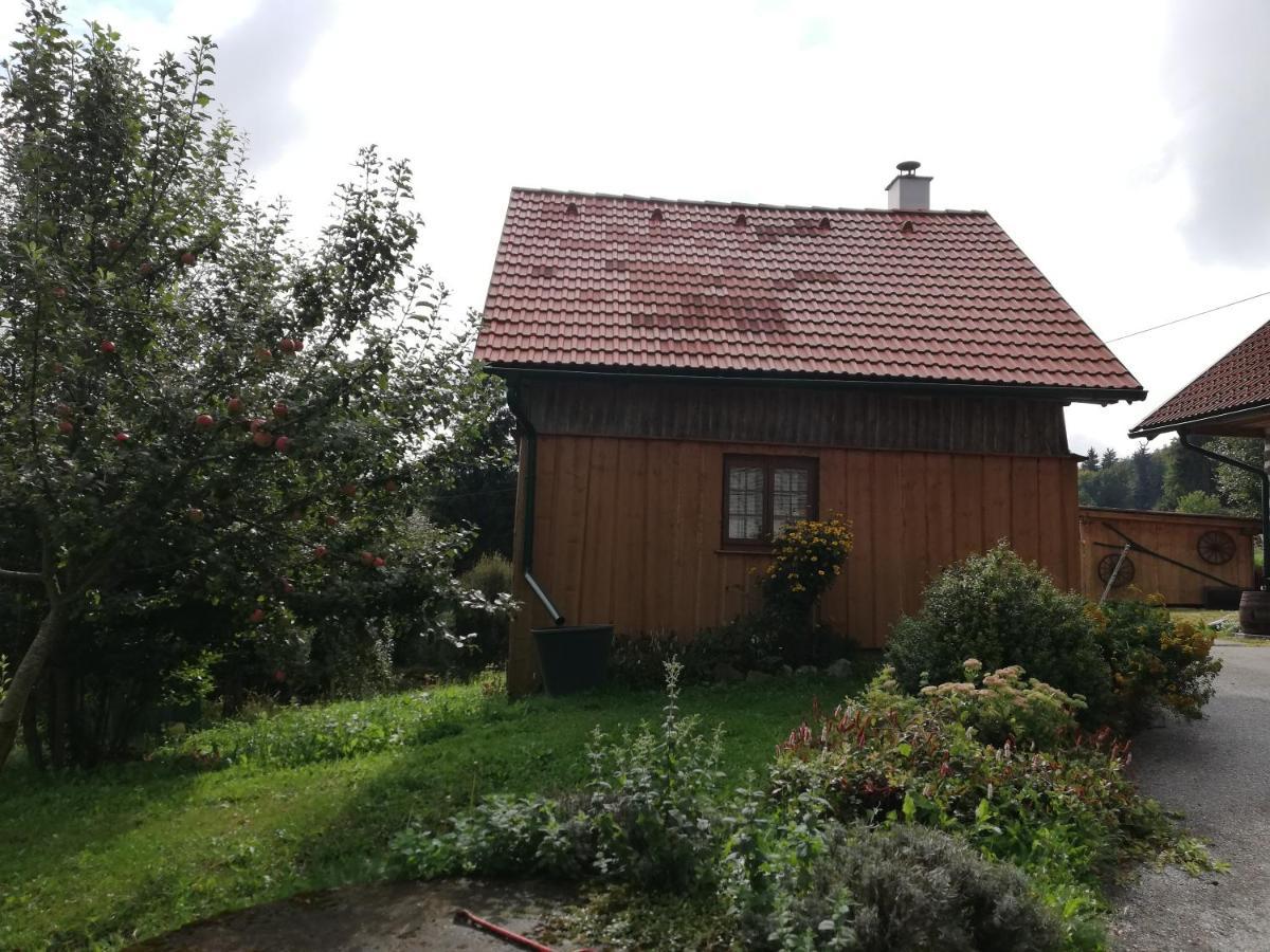 Ferienhaus Friedlhof Langschlag  Ngoại thất bức ảnh