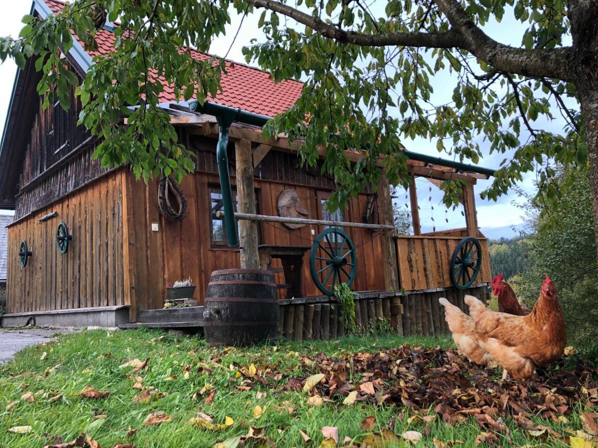 Ferienhaus Friedlhof Langschlag  Ngoại thất bức ảnh