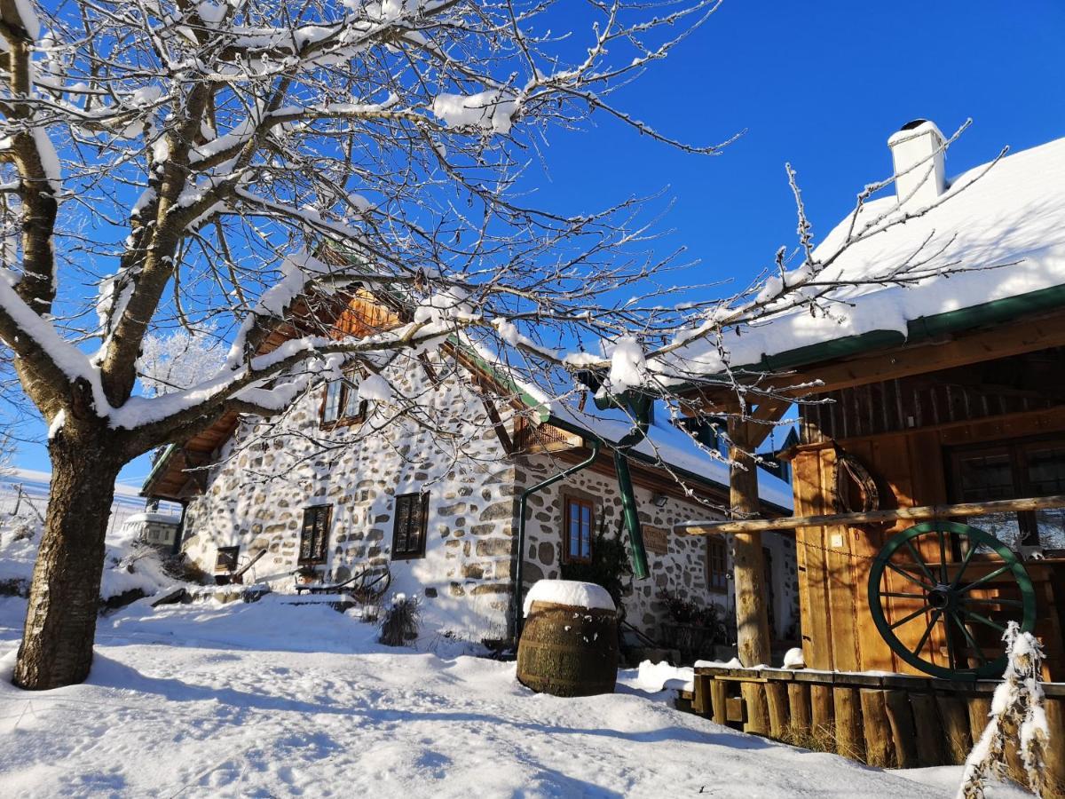 Ferienhaus Friedlhof Langschlag  Ngoại thất bức ảnh